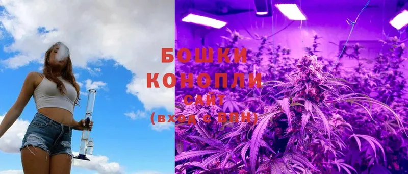 Бошки Шишки THC 21%  Курчатов 